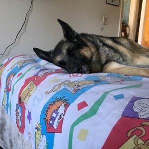 Meet your Posher, Rosalva